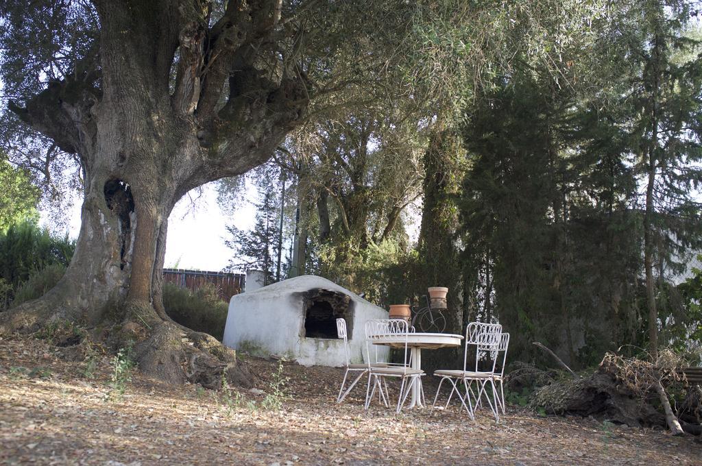 Villas De La Ermita Vejer de la Frontera Buitenkant foto